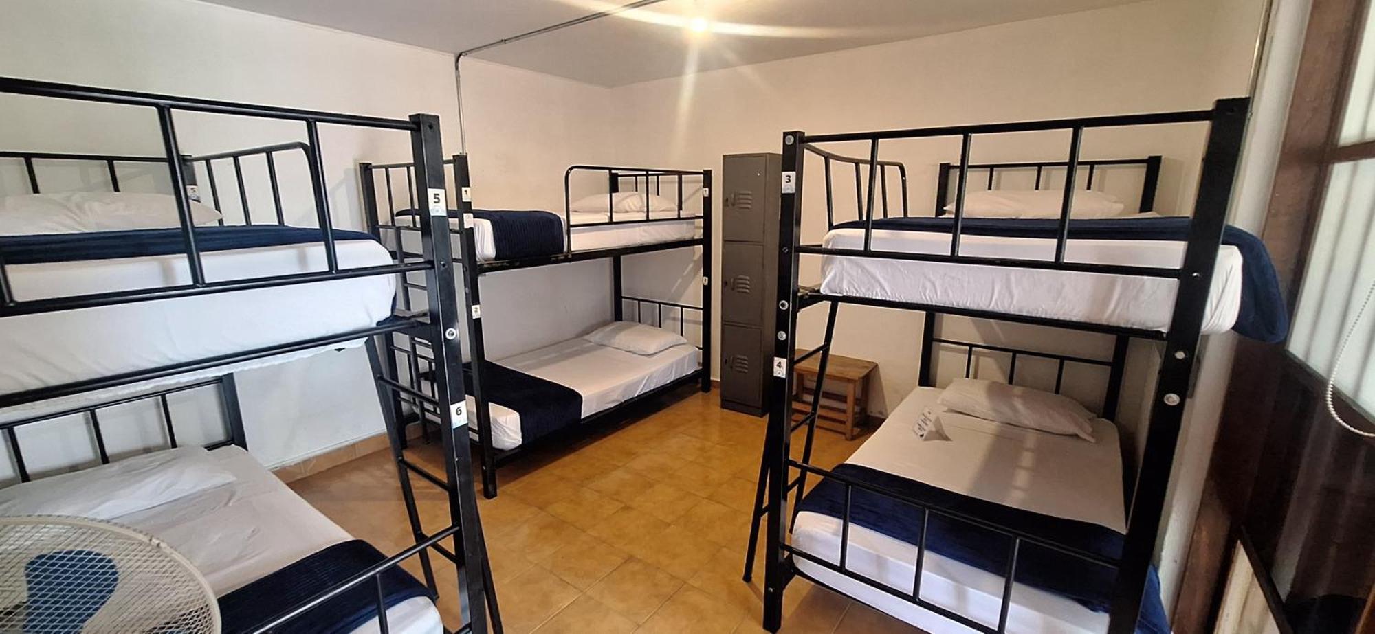 Yolo Hostel Medellín Esterno foto